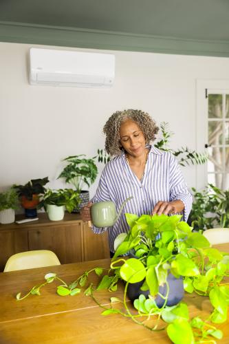 ductless